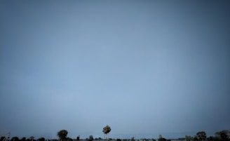A peaceful wide shot of raw, undeveloped land with a clear blue sky.