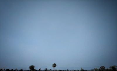 A peaceful wide shot of raw, undeveloped land with a clear blue sky.