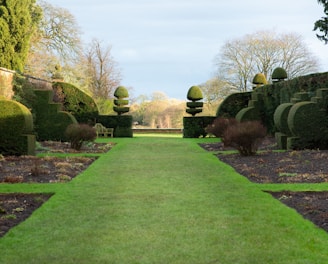 a long green lawn lined with trees and bushes