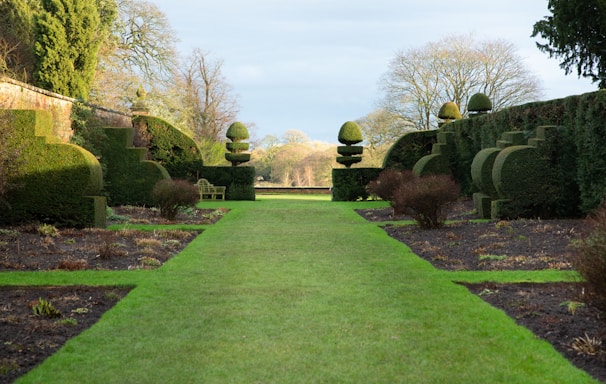 a long green lawn lined with trees and bushes