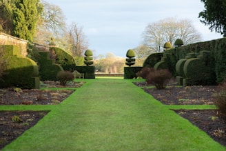 a long green lawn lined with trees and bushes