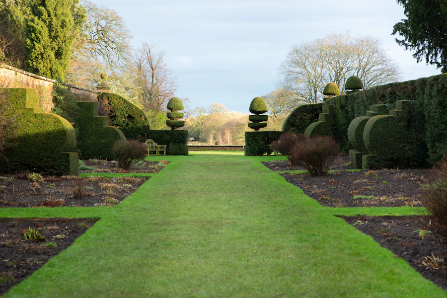 A long green lawn lined with trees and bushes