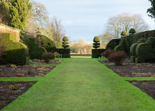 a long green lawn lined with trees and bushes