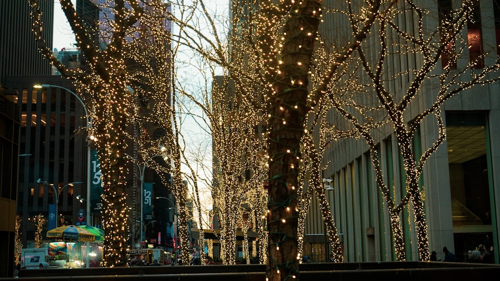 Une rue de la ville remplie de nombreuses lumières de Noël