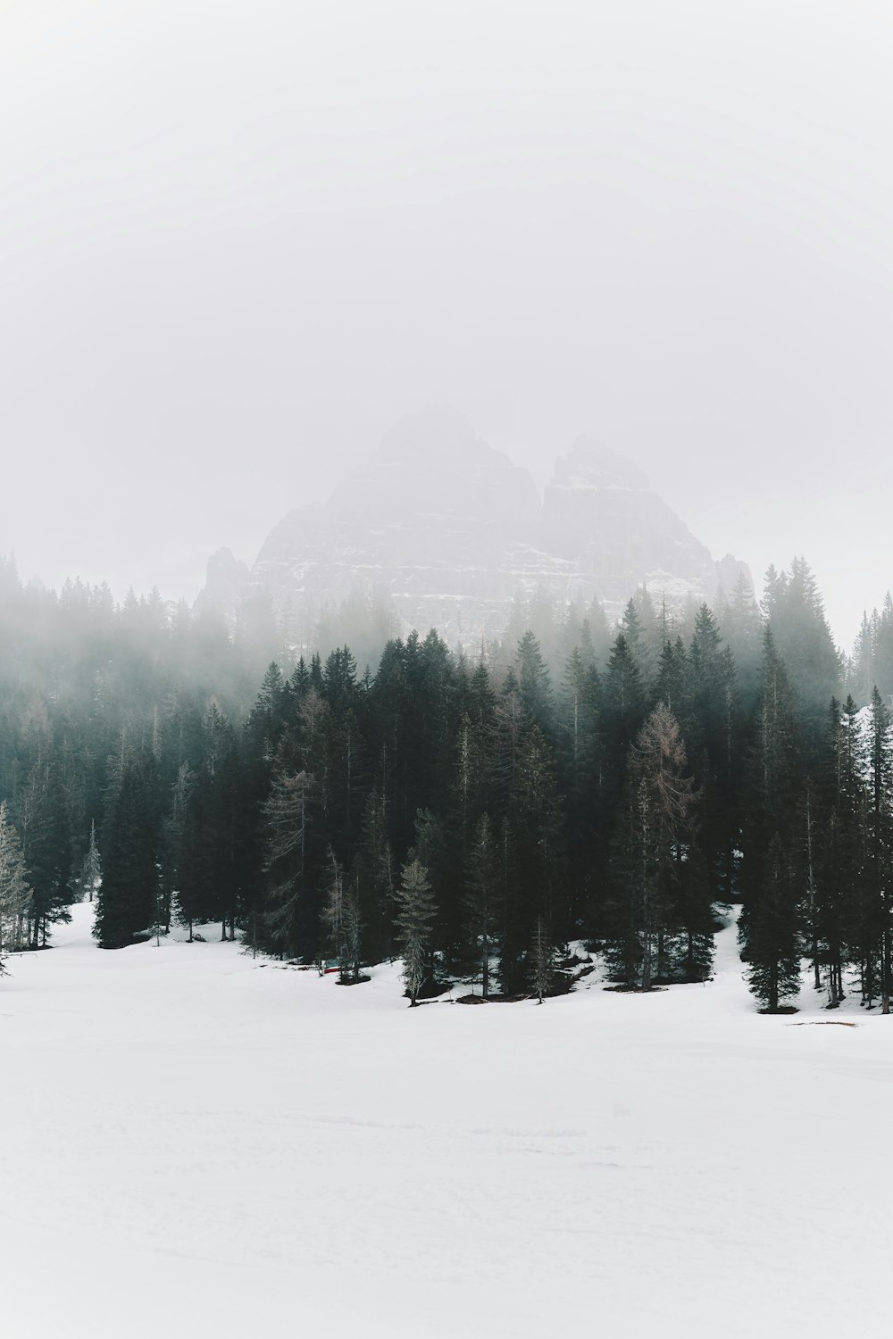 a snow covered field with trees and a mountain in the background