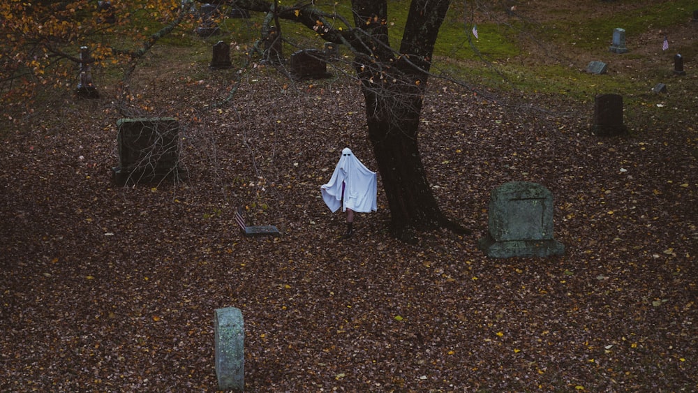 a white cloth hanging from a tree in a cemetery