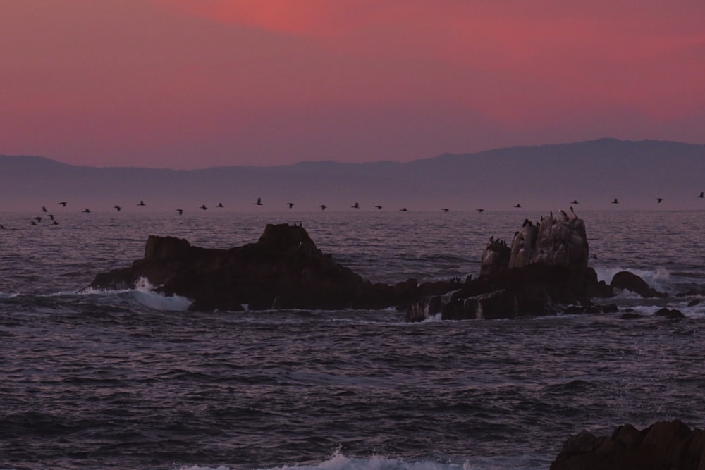 a flock of birds sitting on top of a rock in the ocean