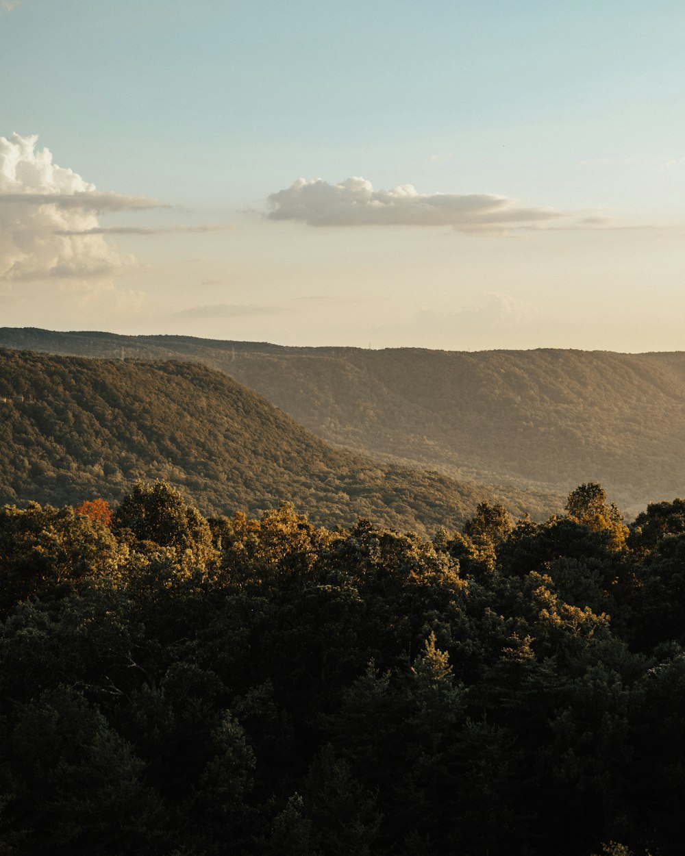 a view of a mountain range with trees in the foreground