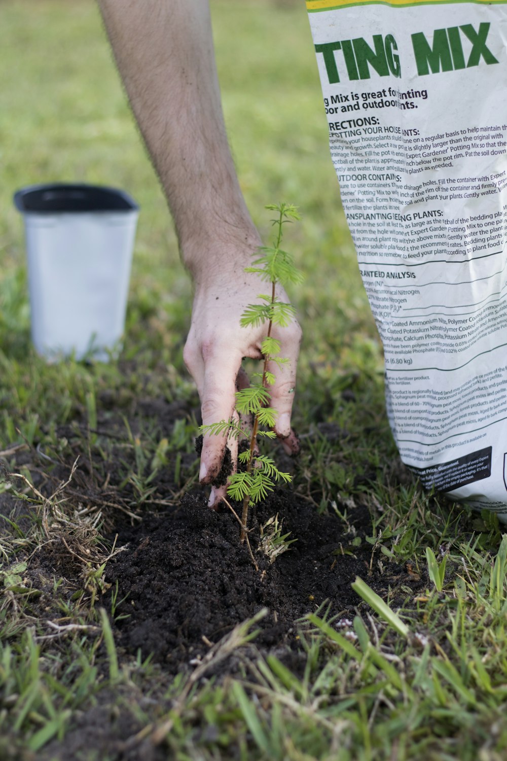 a person is holding a bag of dirt and a plant