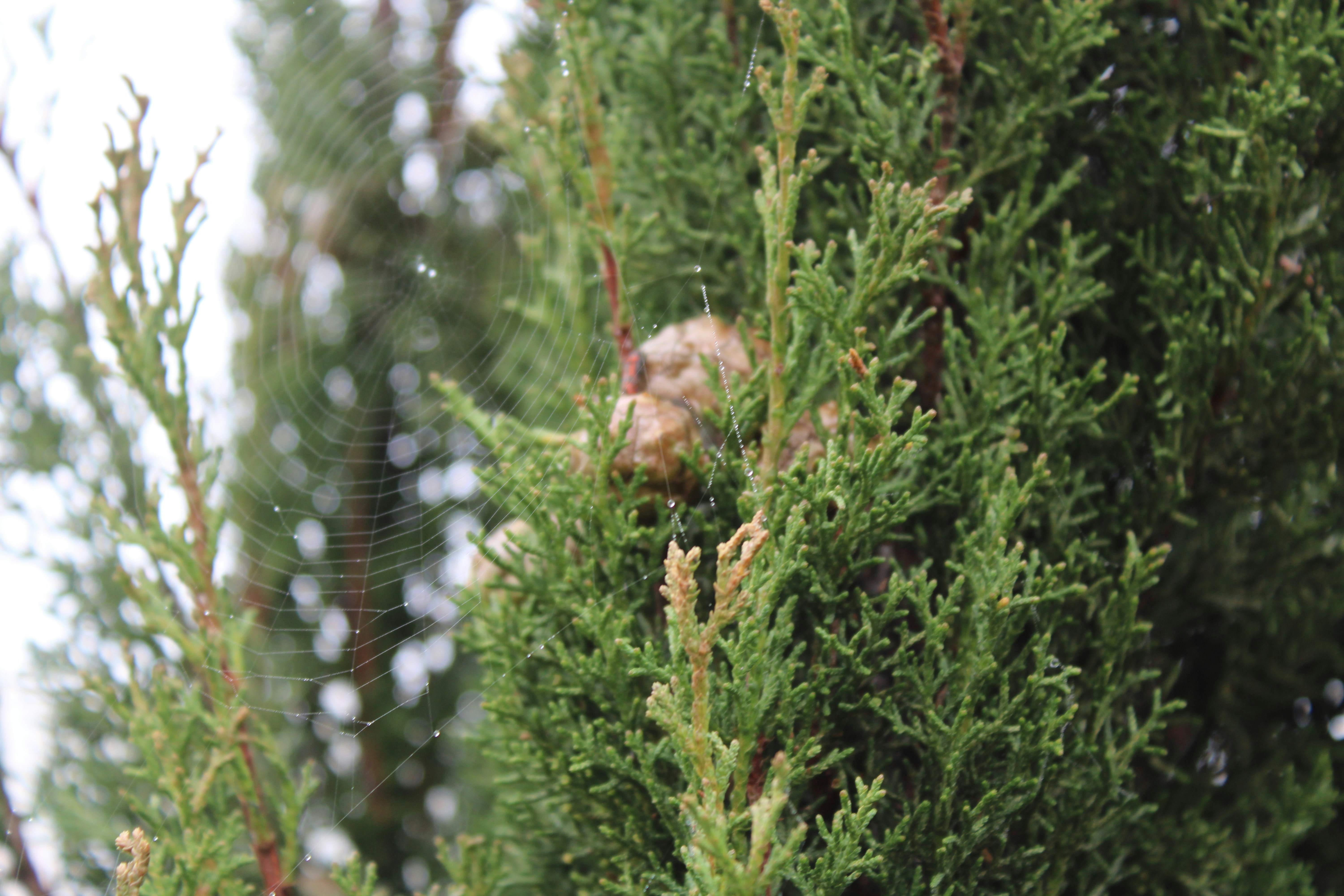 Photo by followmarcos