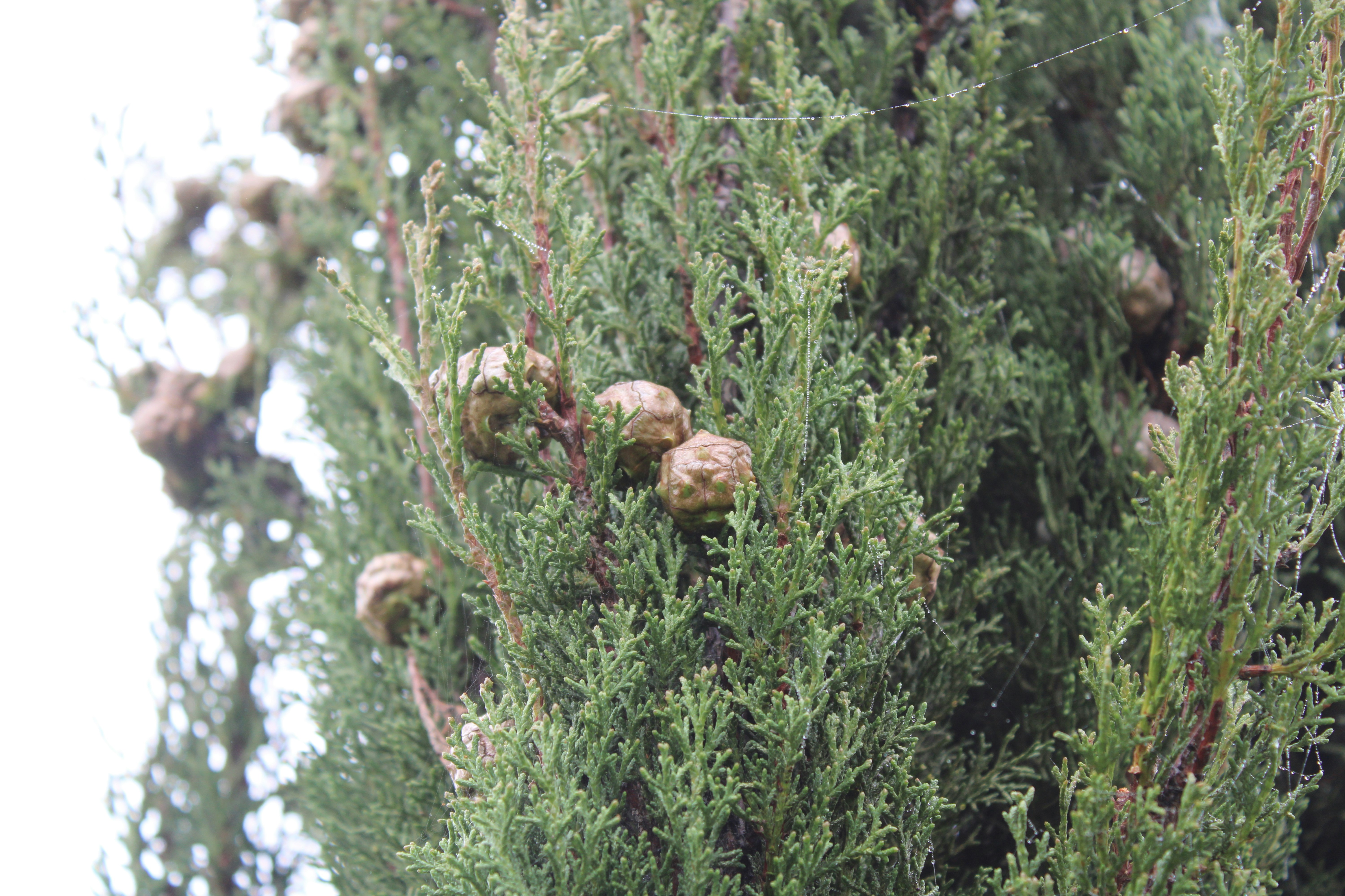 Photo by followmarcos