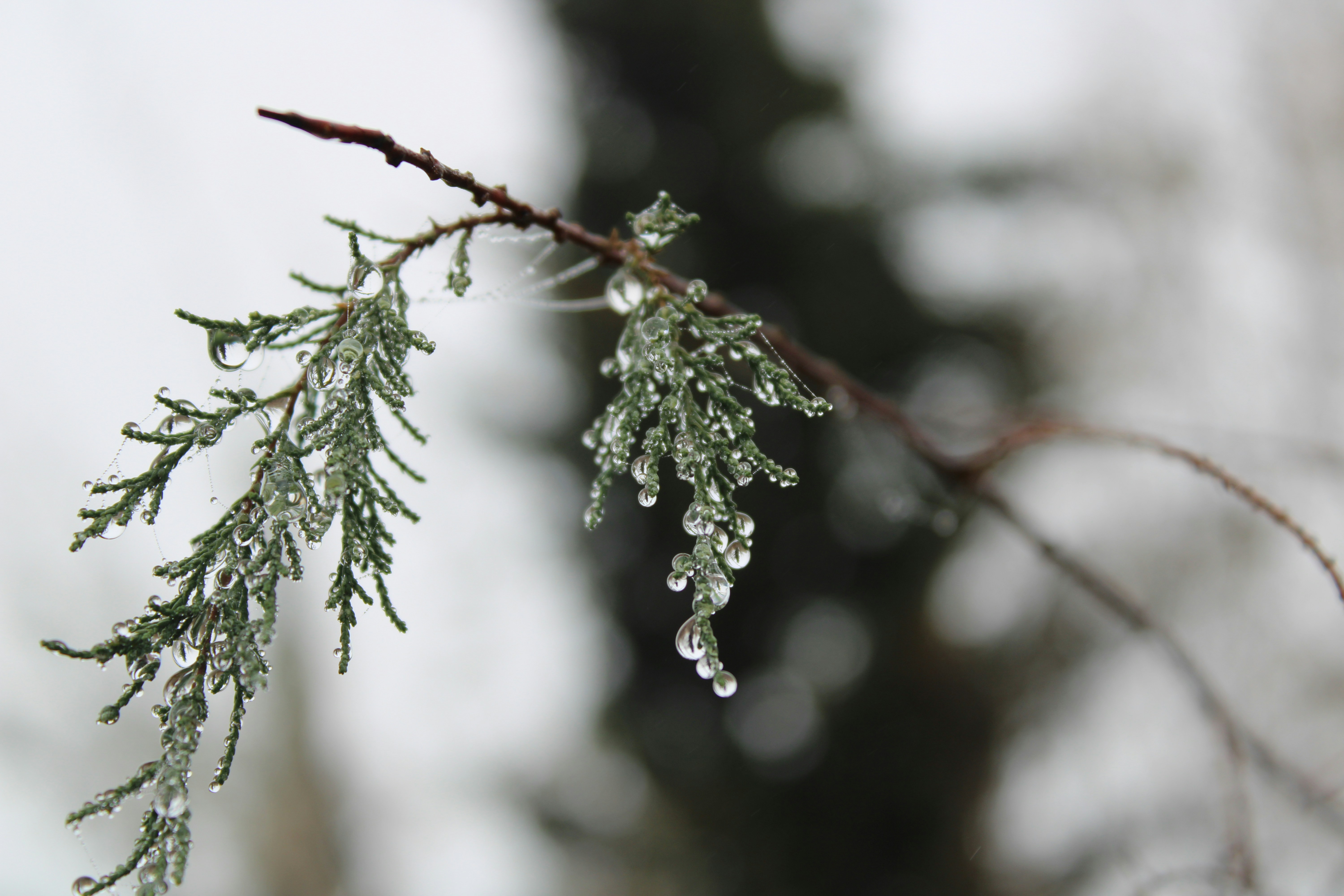 Photo by followmarcos