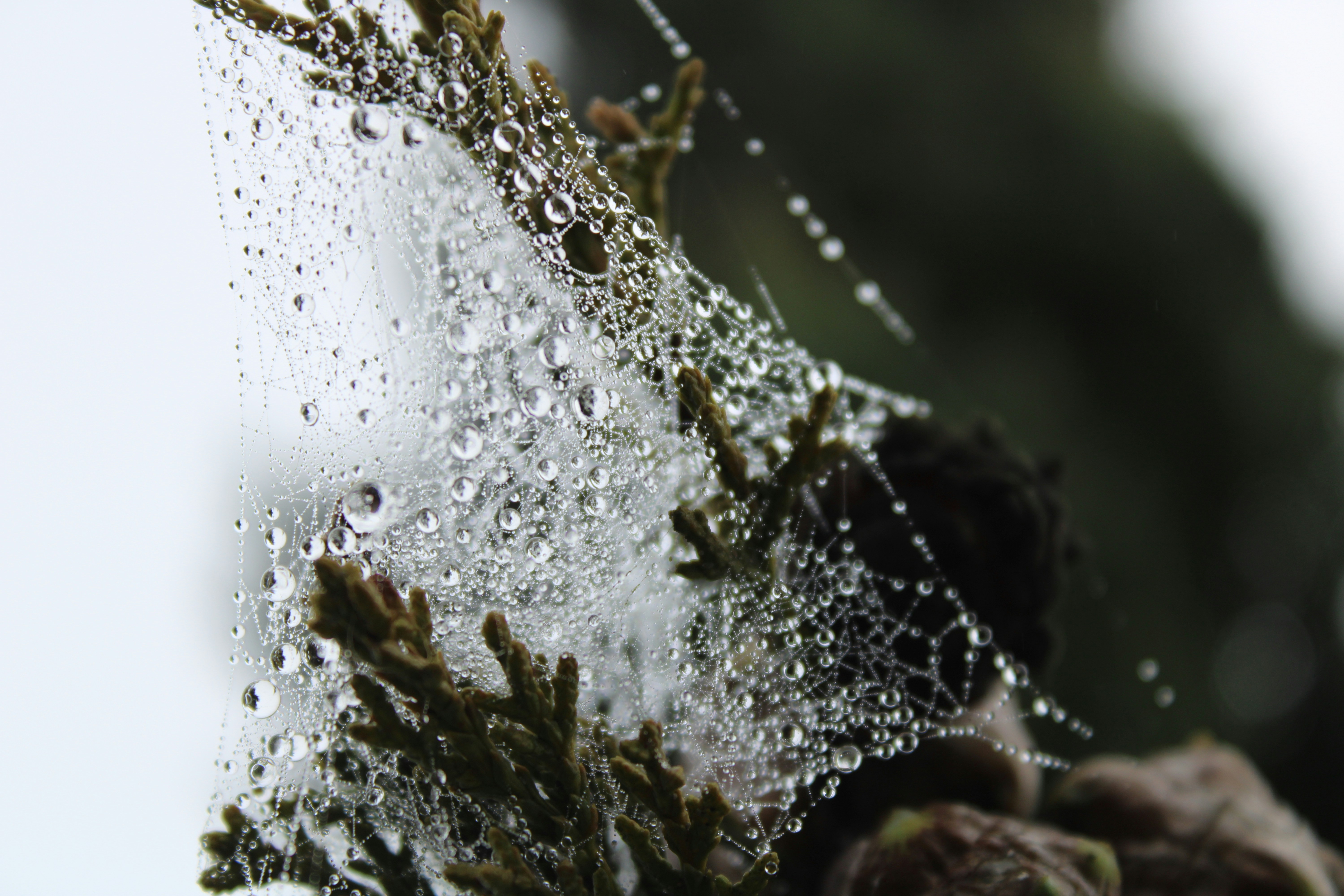 Photo by followmarcos