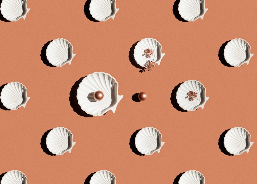 a group of seashells on a pink background