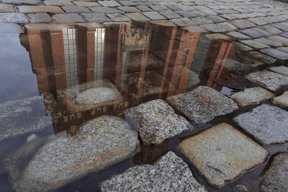 a reflection of a building in a puddle of water