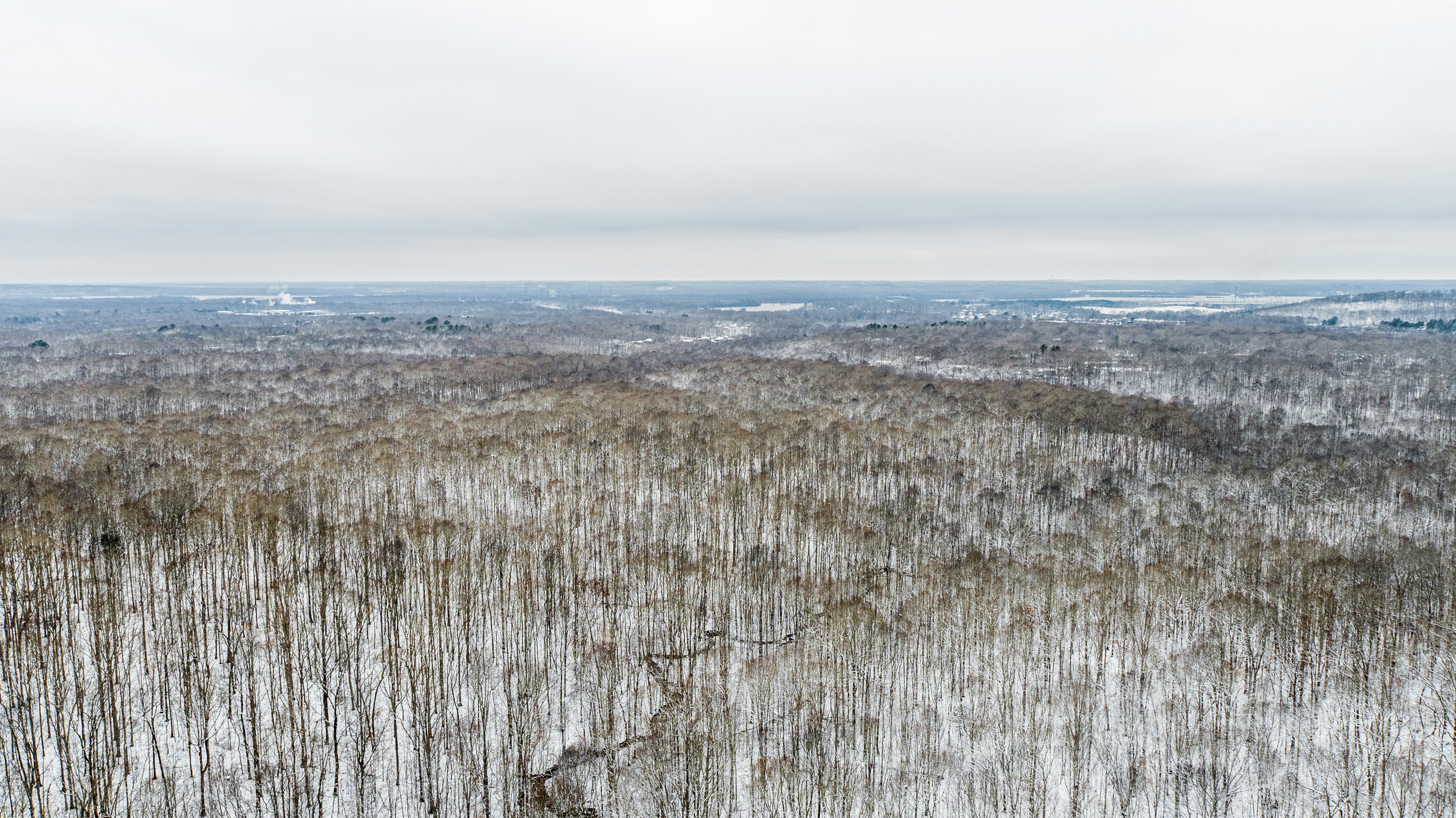 Photo by alexwfeeney