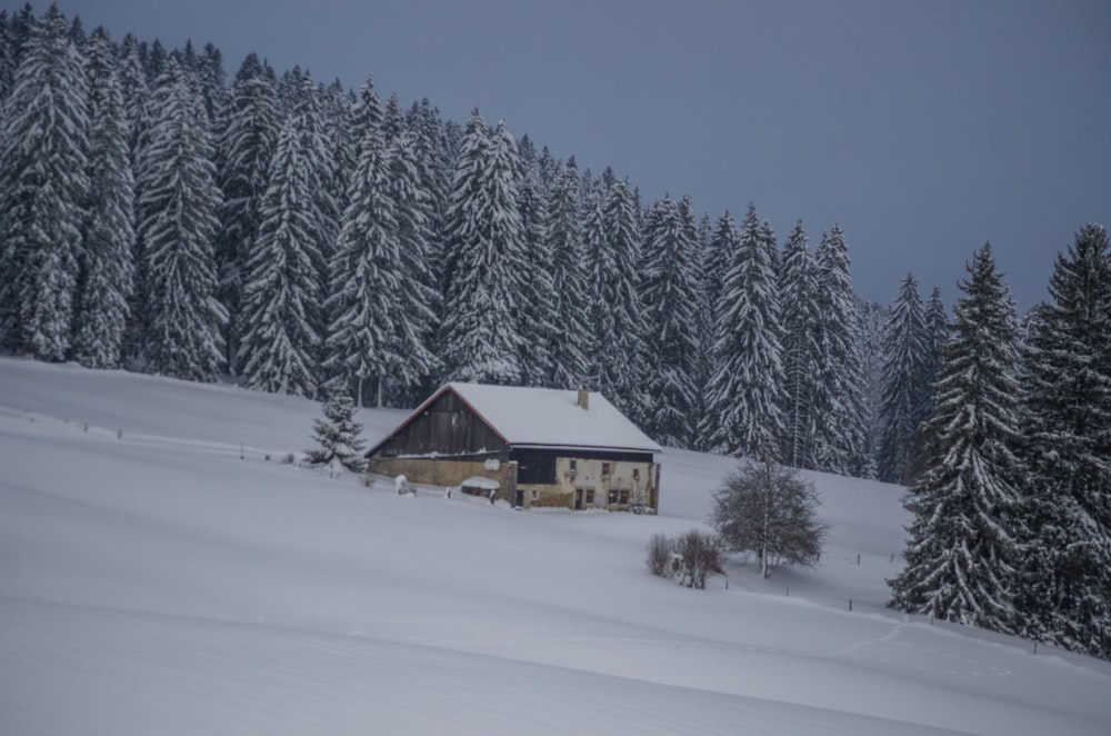 a house in the middle of a snowy field