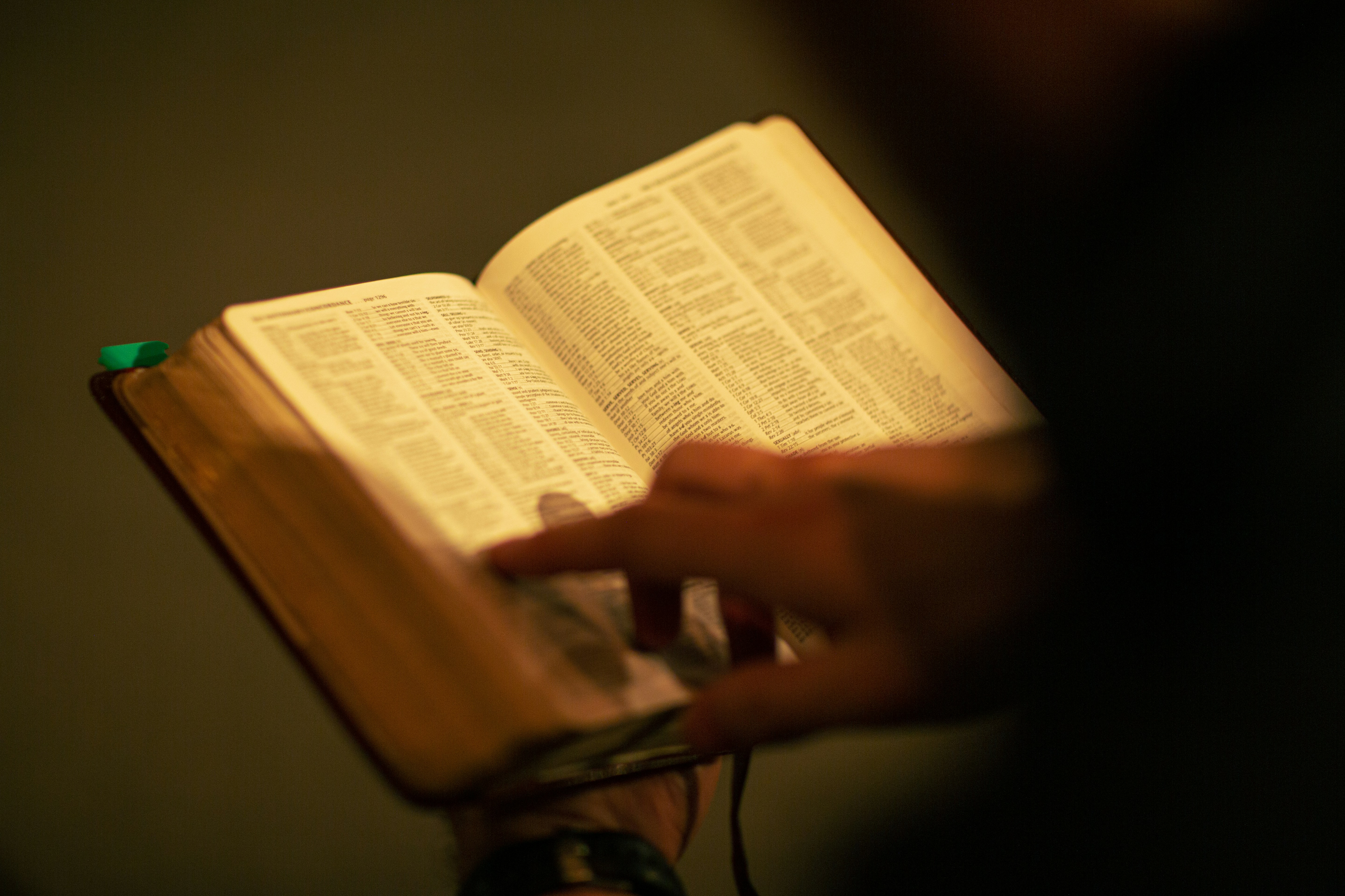 Photo by fergilicious_photos