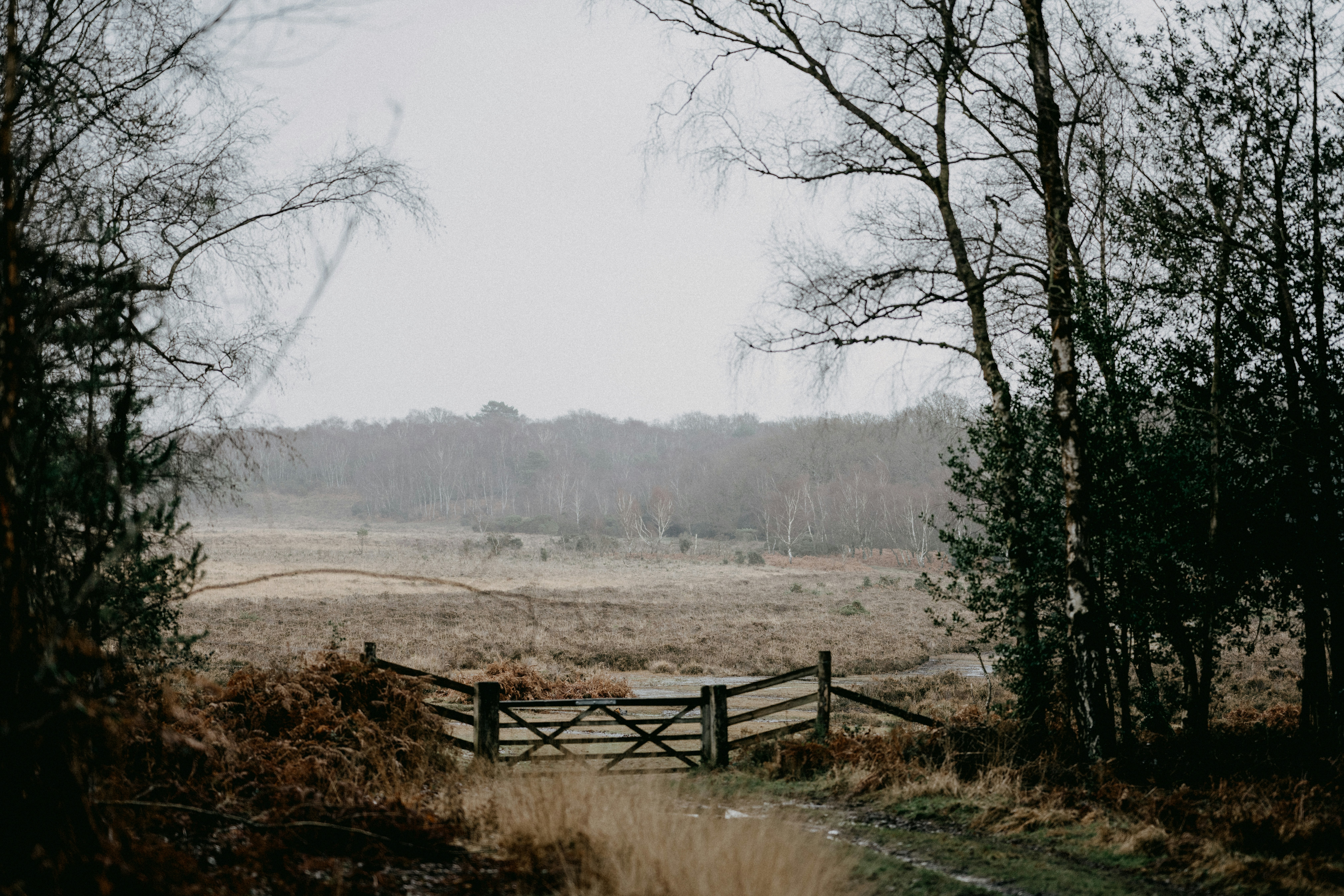 Photo by anniespratt