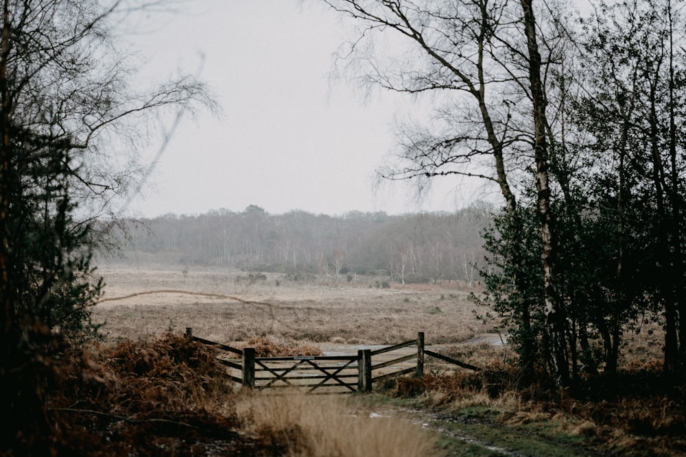 a gate in the middle of a field surrounded by trees