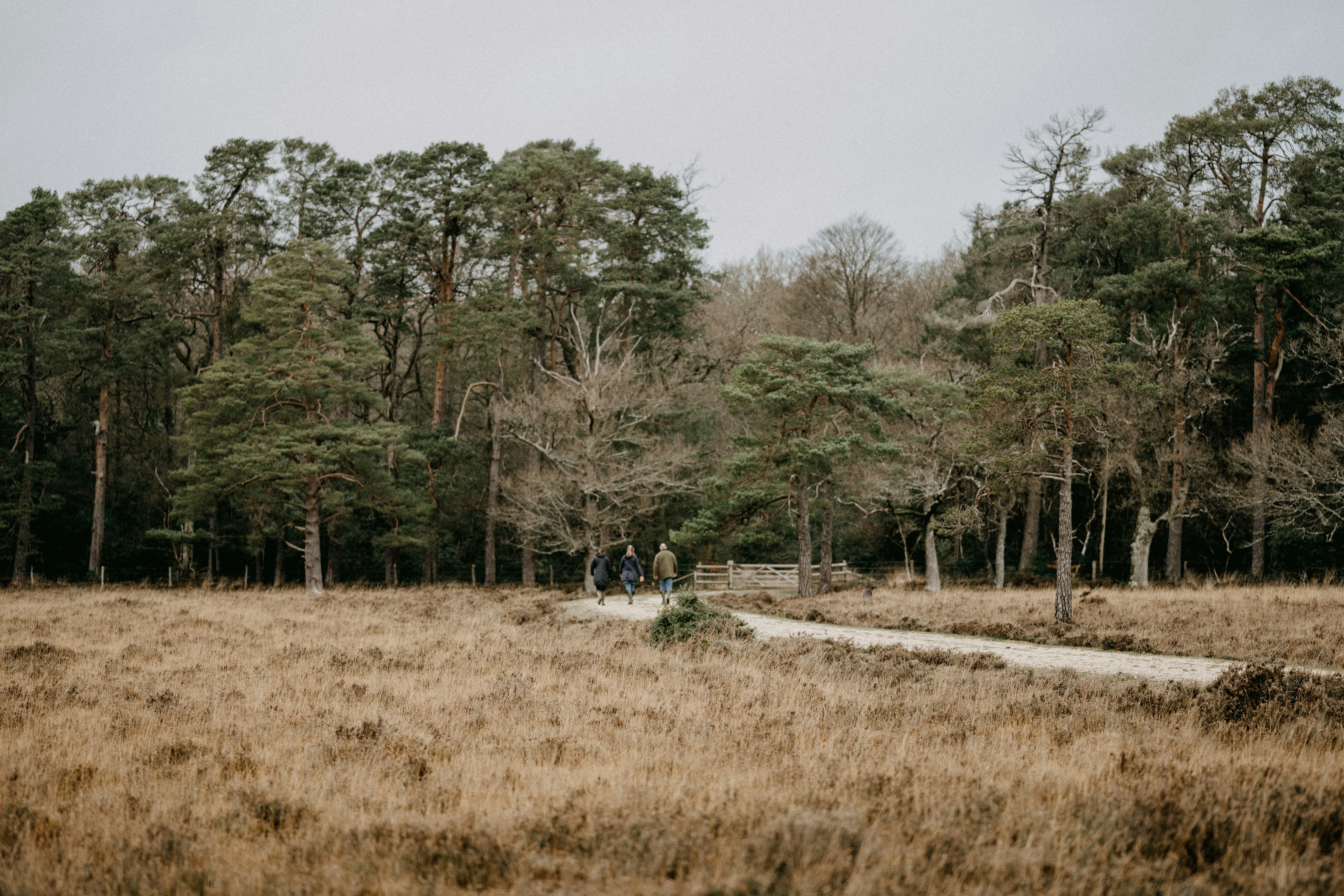 Photo by anniespratt