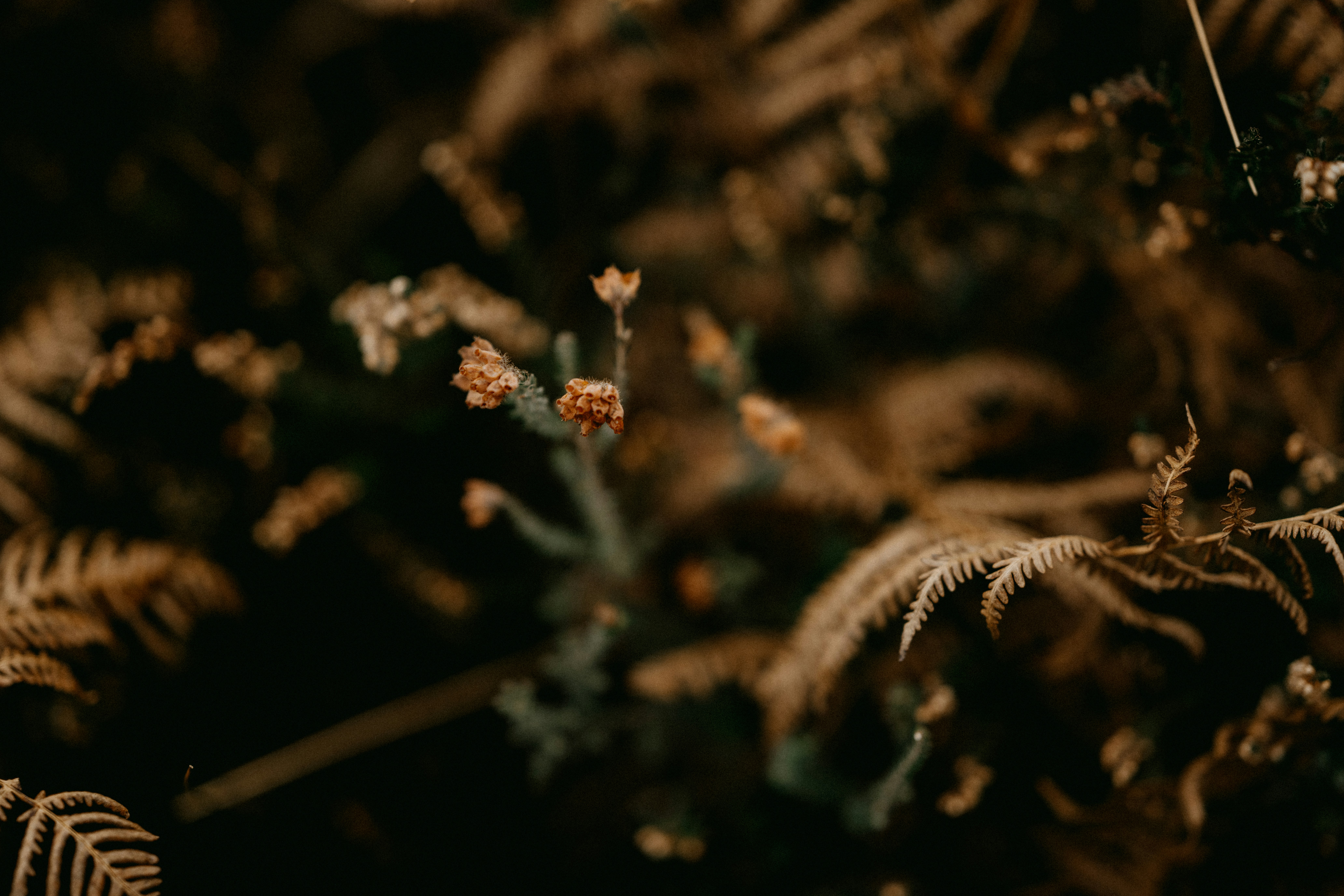 Photo by anniespratt