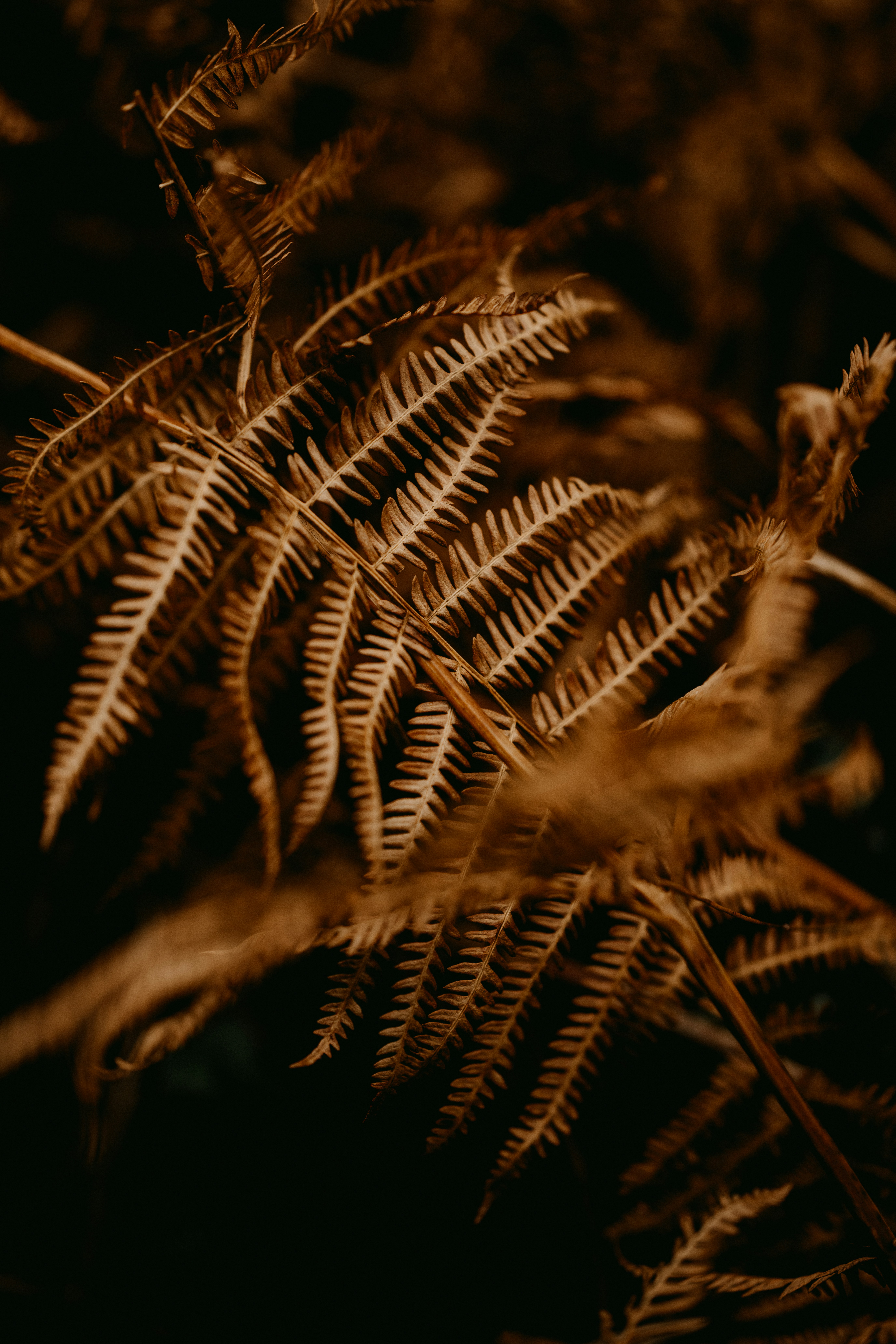 Photo by anniespratt