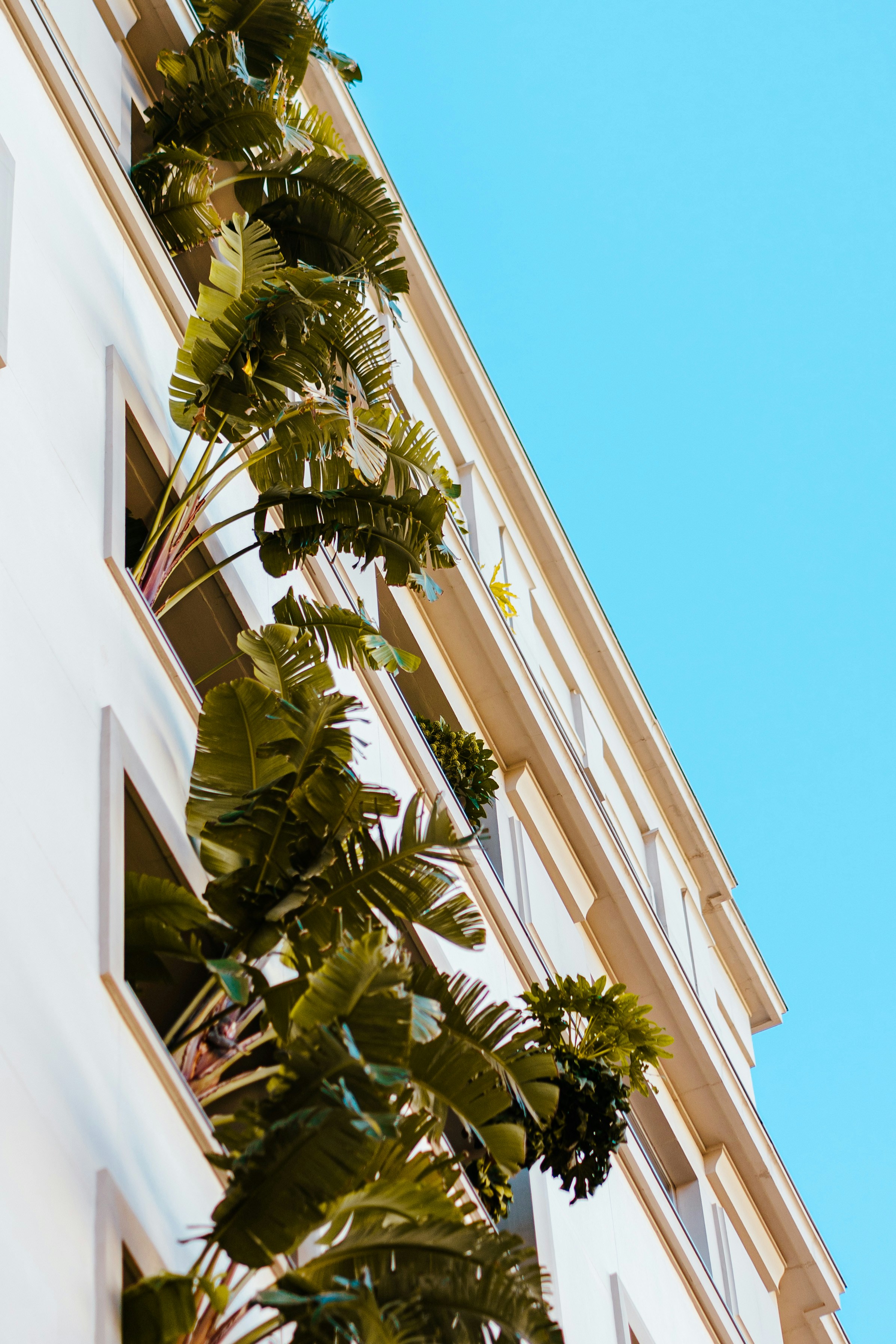 Photo by eugenechystiakov