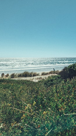 A serene beach scene with families enjoying the sun and waves.