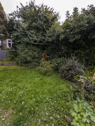 Jardin nettoyé — Court-Saint-Étienne, après