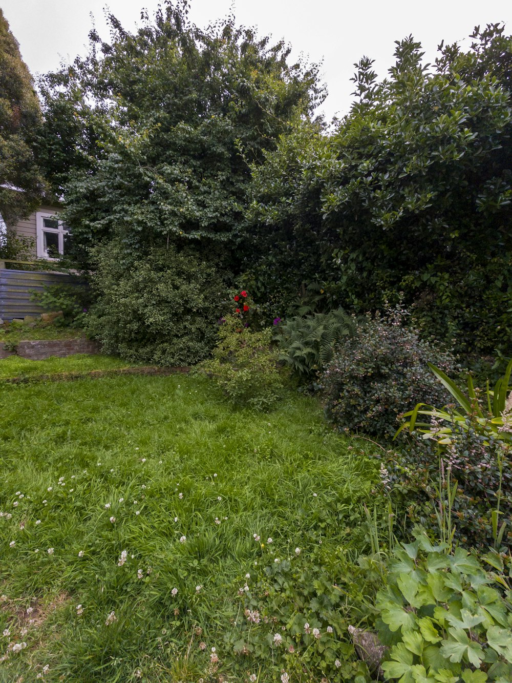 a grassy yard with a fire hydrant in the middle of it