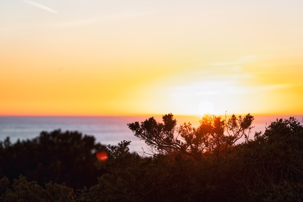 the sun is setting over the trees and the ocean