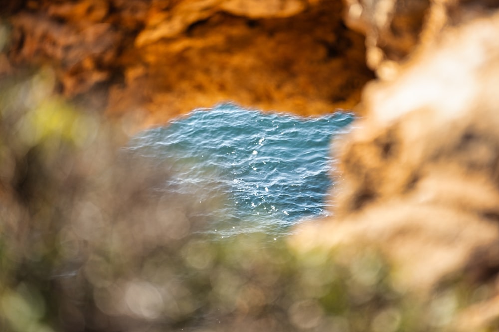 a body of water surrounded by rocks and trees