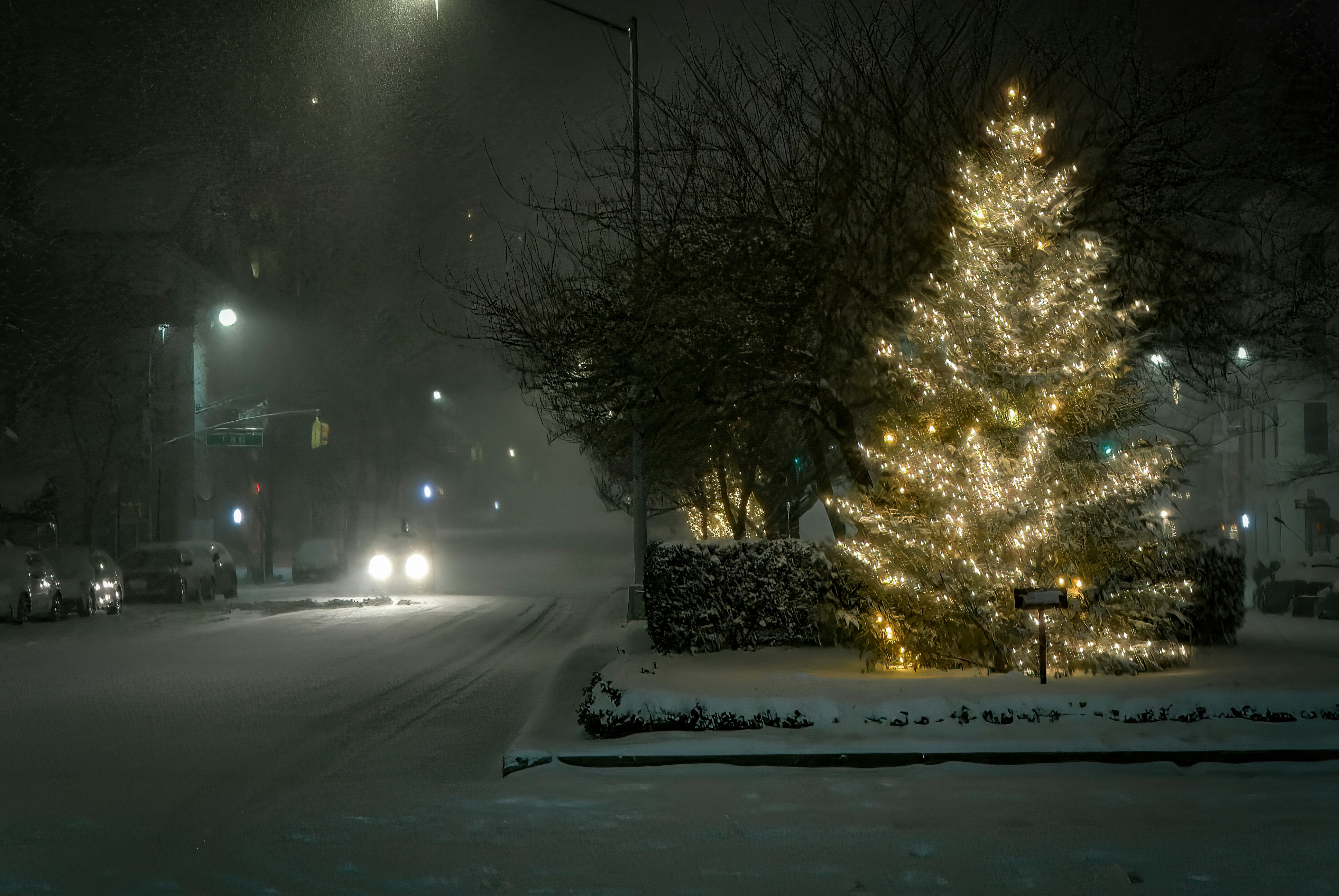 Photo by clayleconey