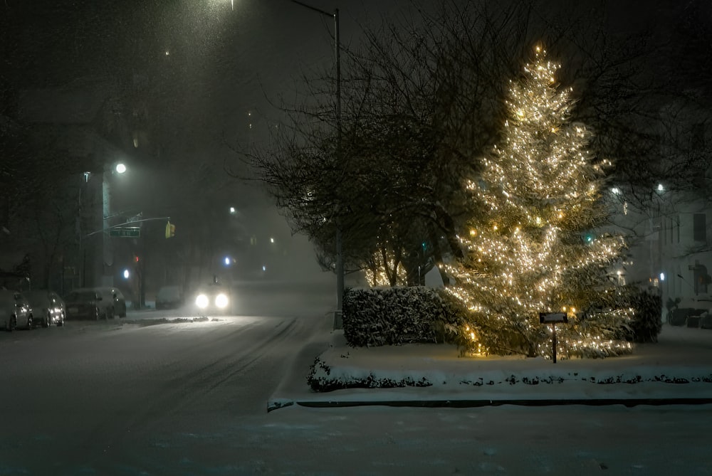 a snowy street with a lit christmas tree