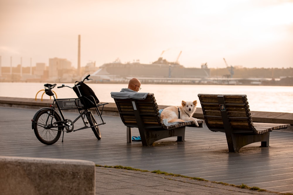 a man sitting on a bench next to a dog