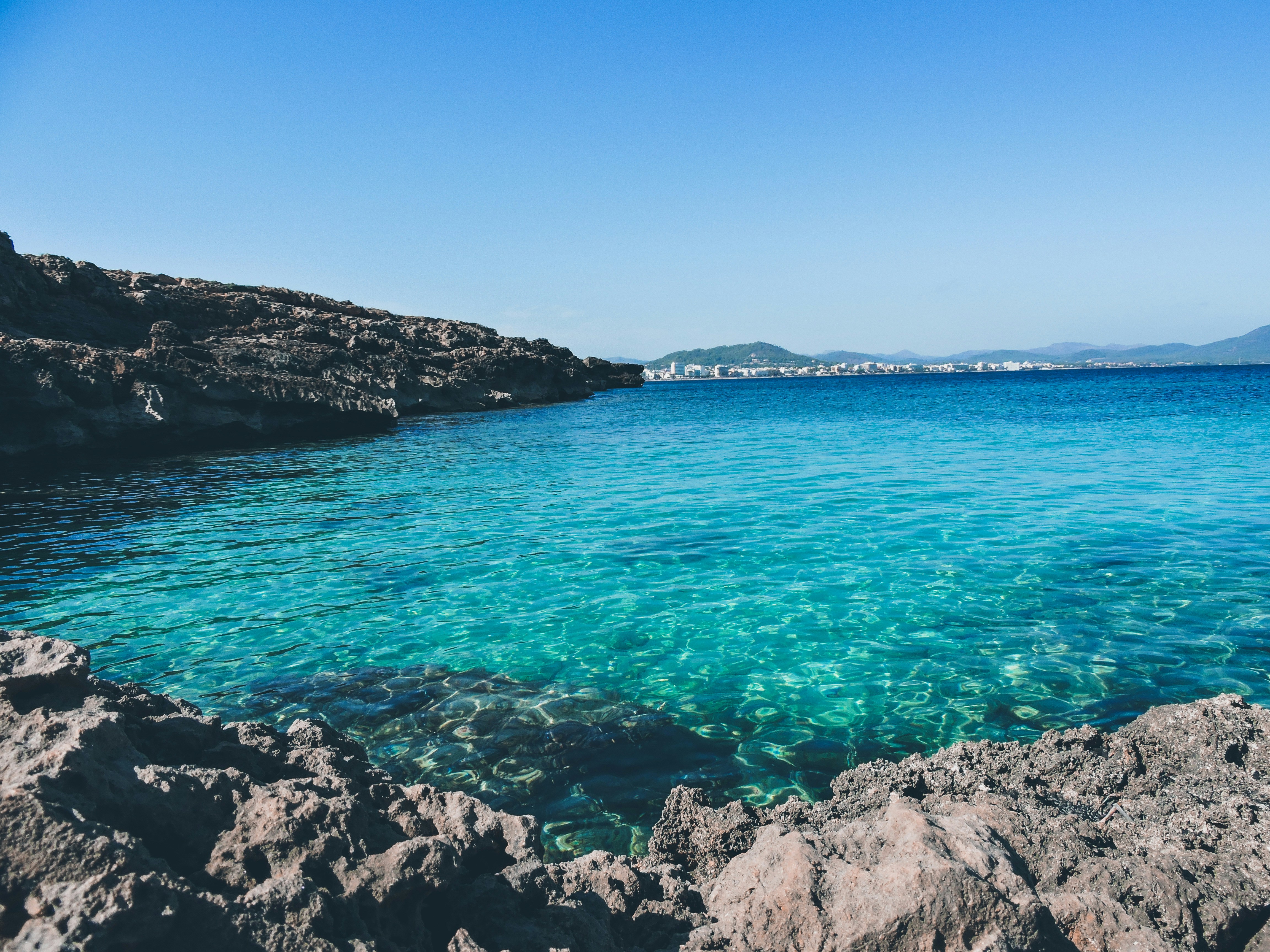 Photo by lara_treegardener