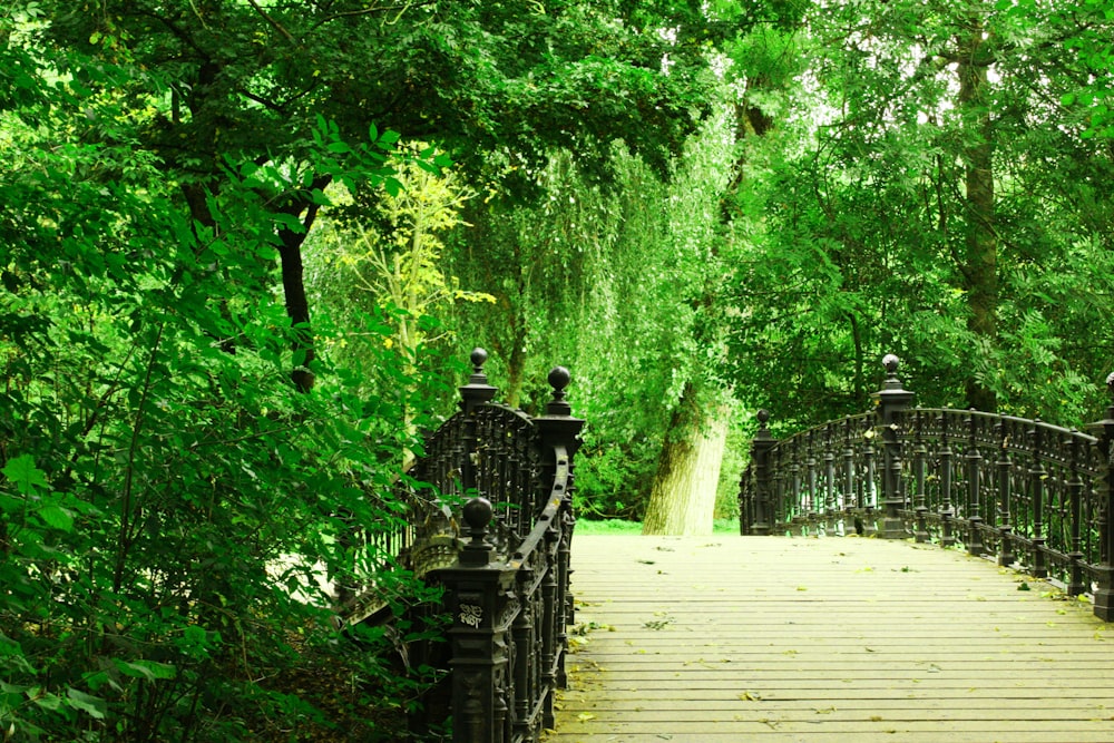 a wooden bridge surrounded by lush green trees
