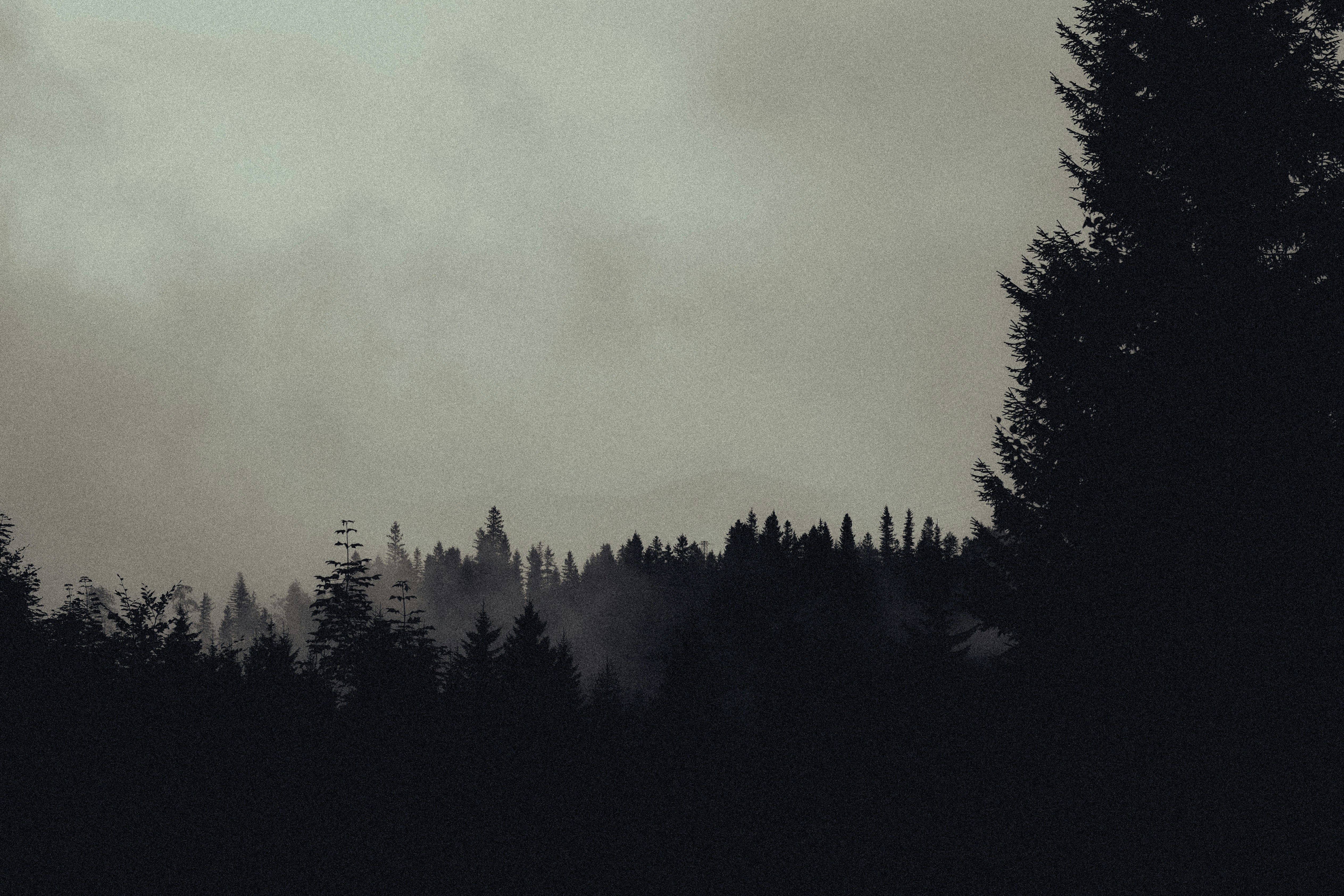 Photo by vedatkandemir