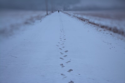 a person walking down a snow covered road