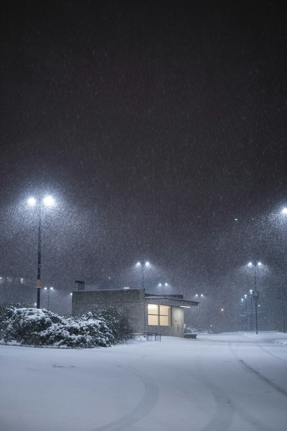 a snowy night with street lights and a building