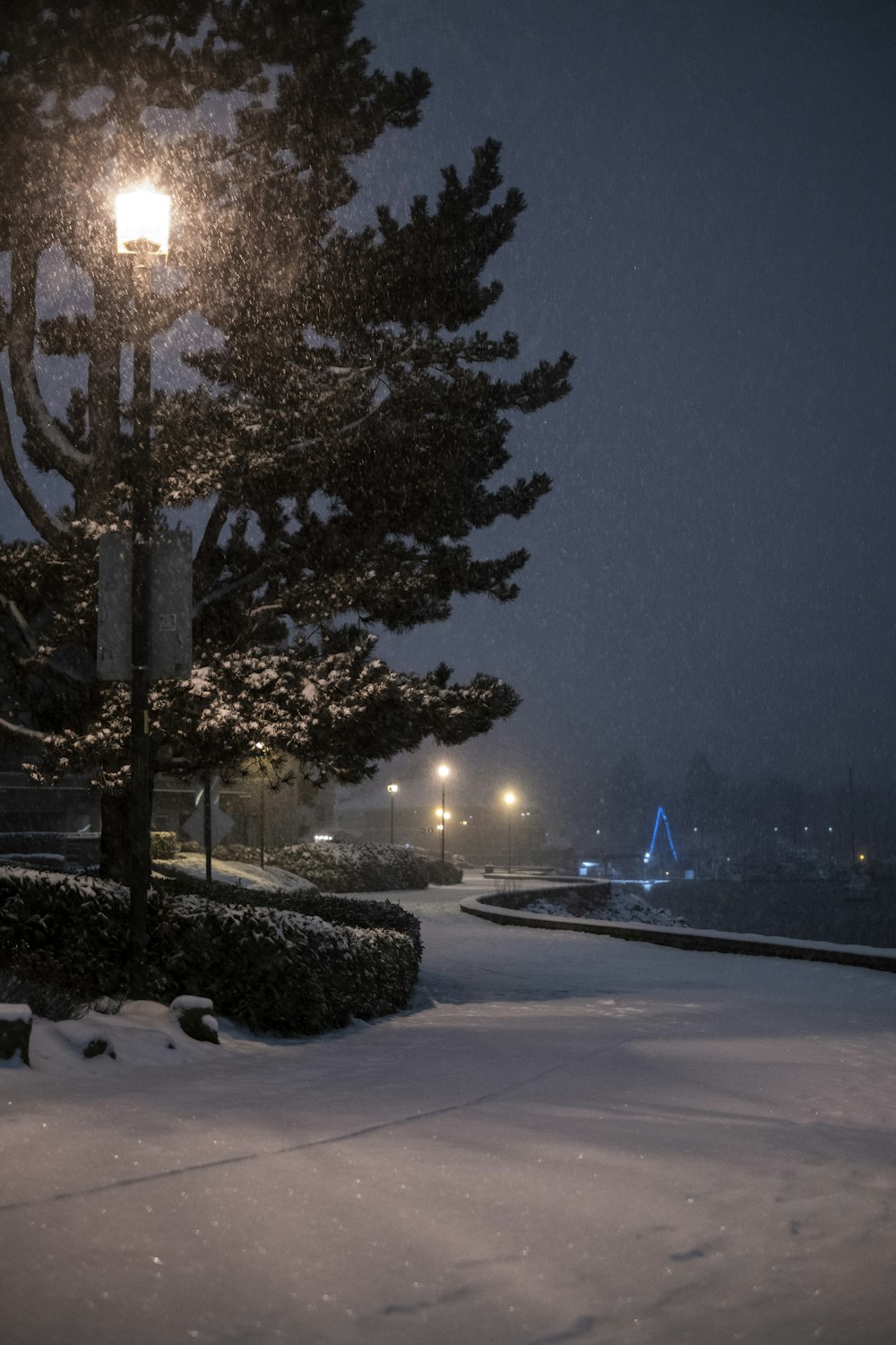 a street light in the middle of a snowy night