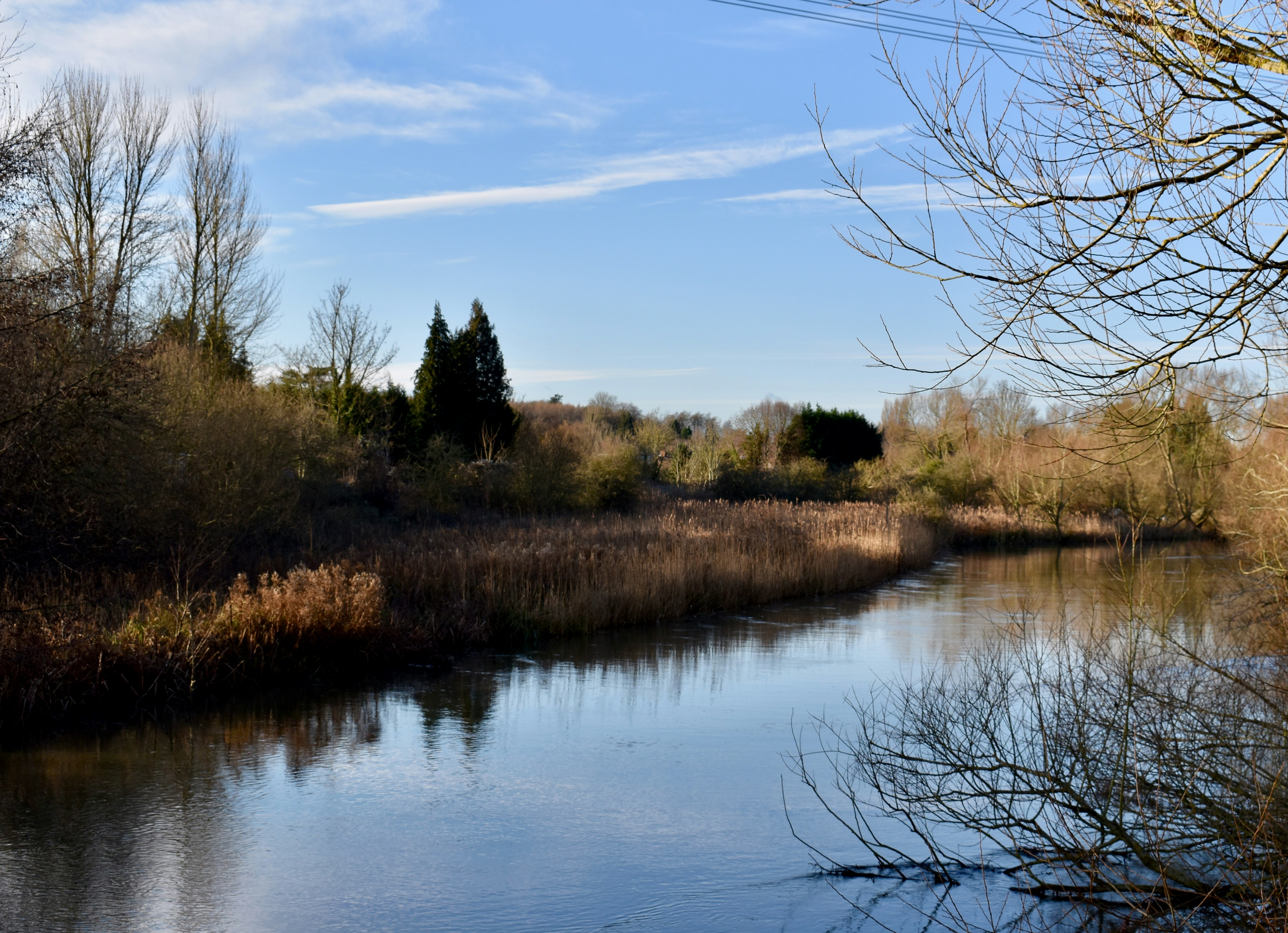 Photo by sisacreative