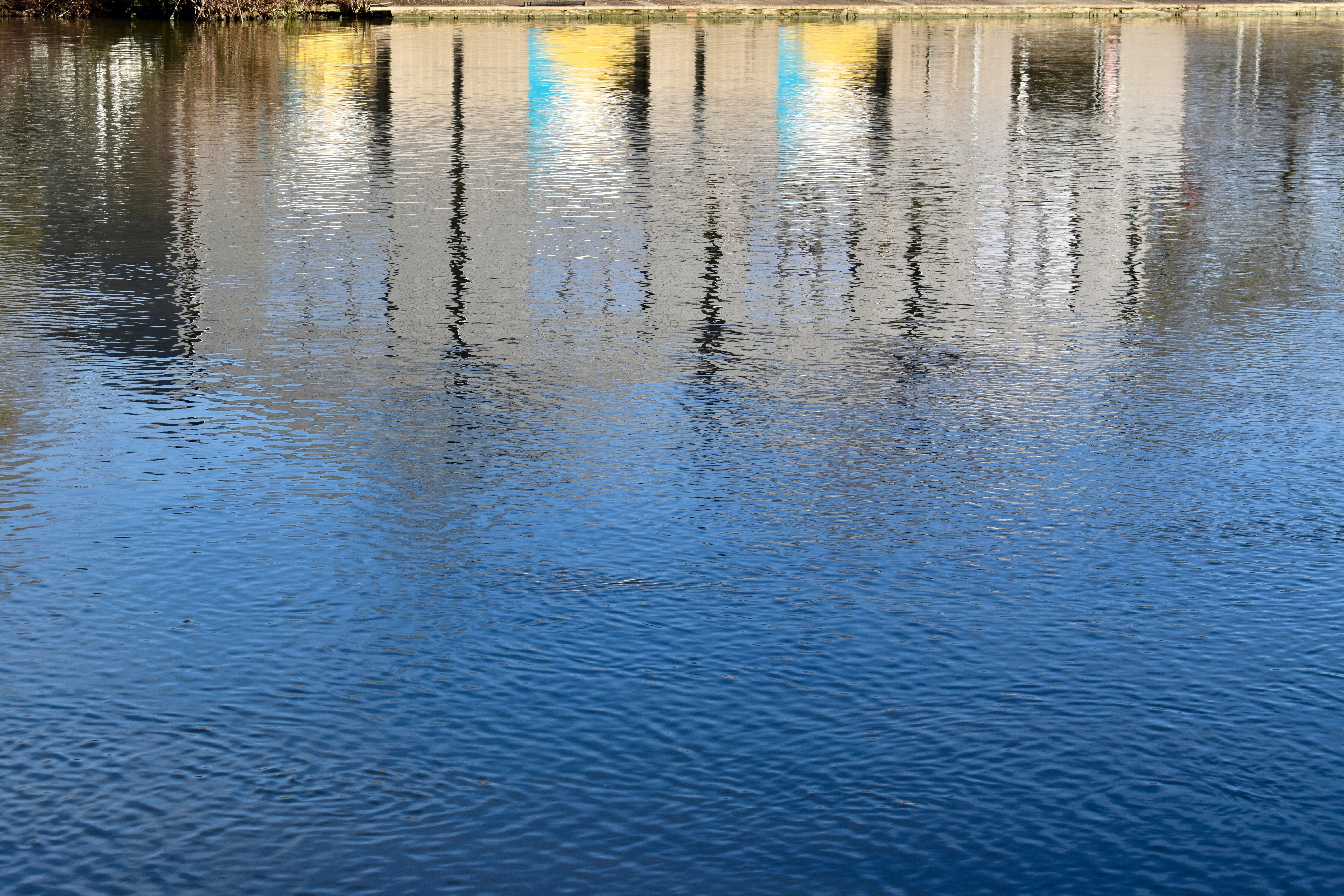 Photo by sisacreative