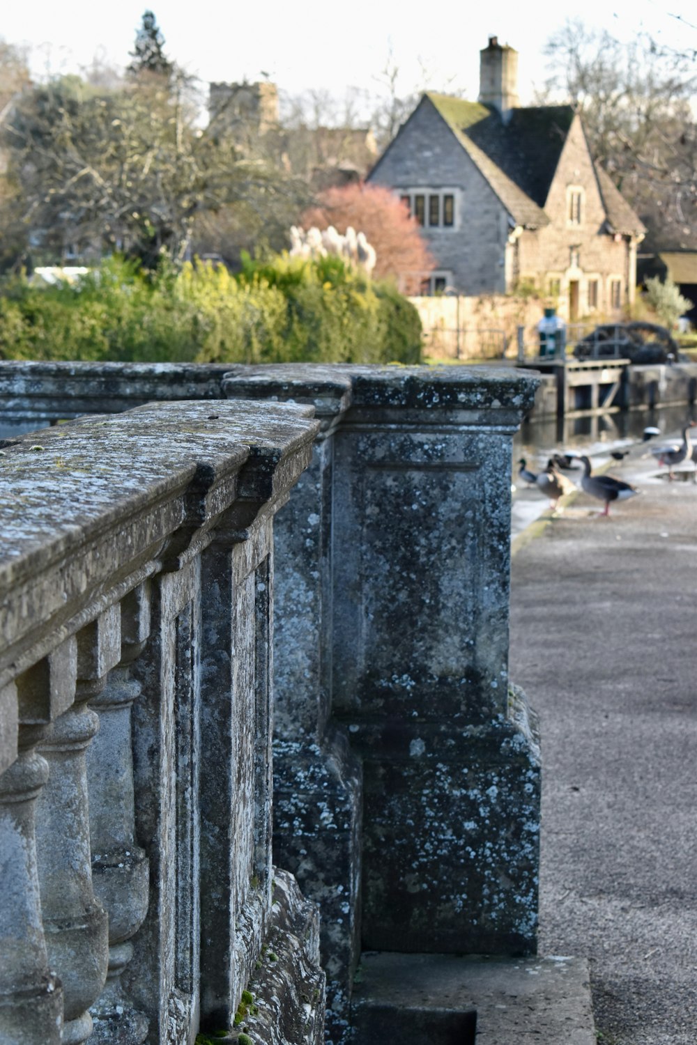 a bird is perched on the ledge of a building