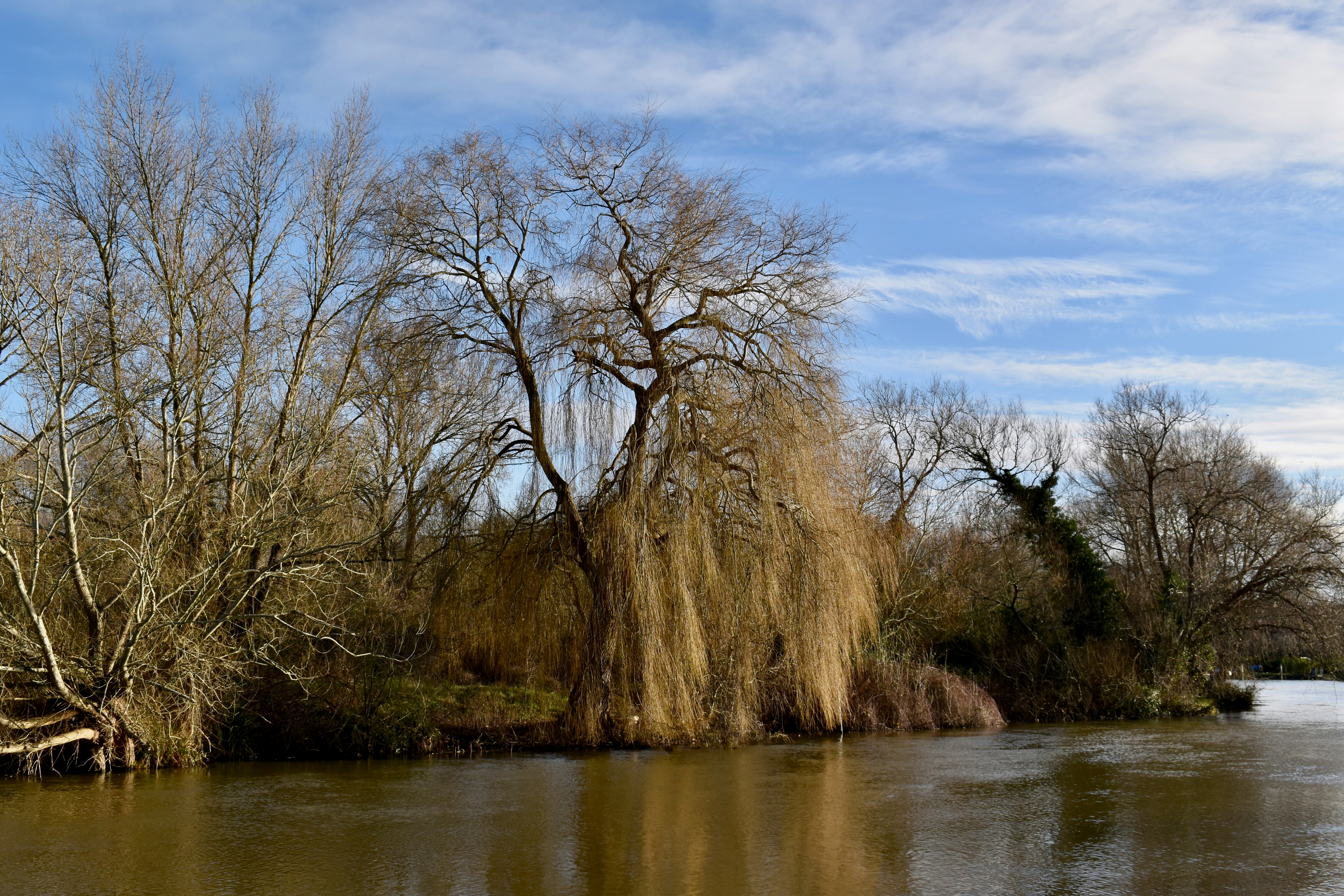 Punting on the River Cherwell photo 2