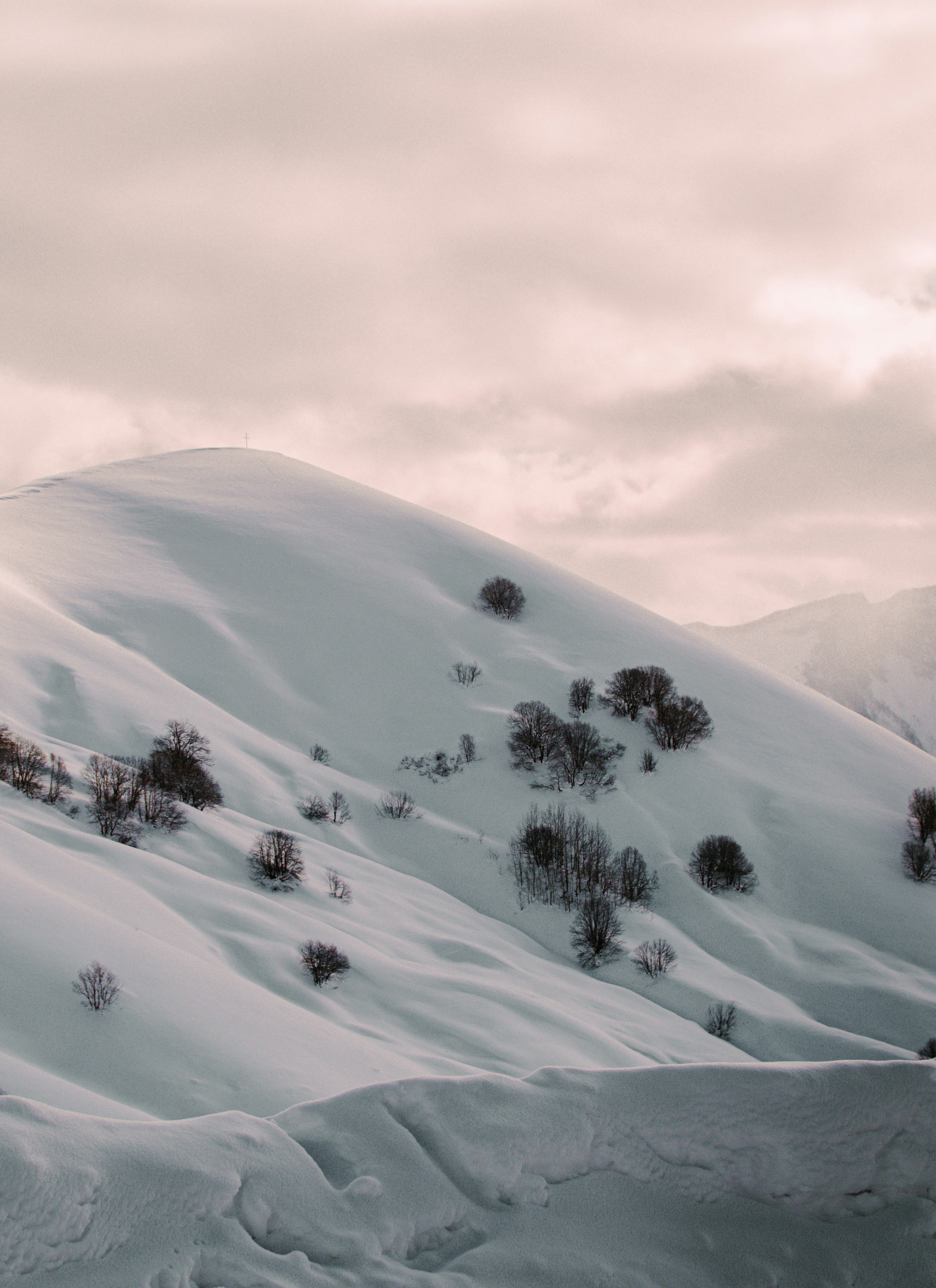 Photo by kingkonggeorge