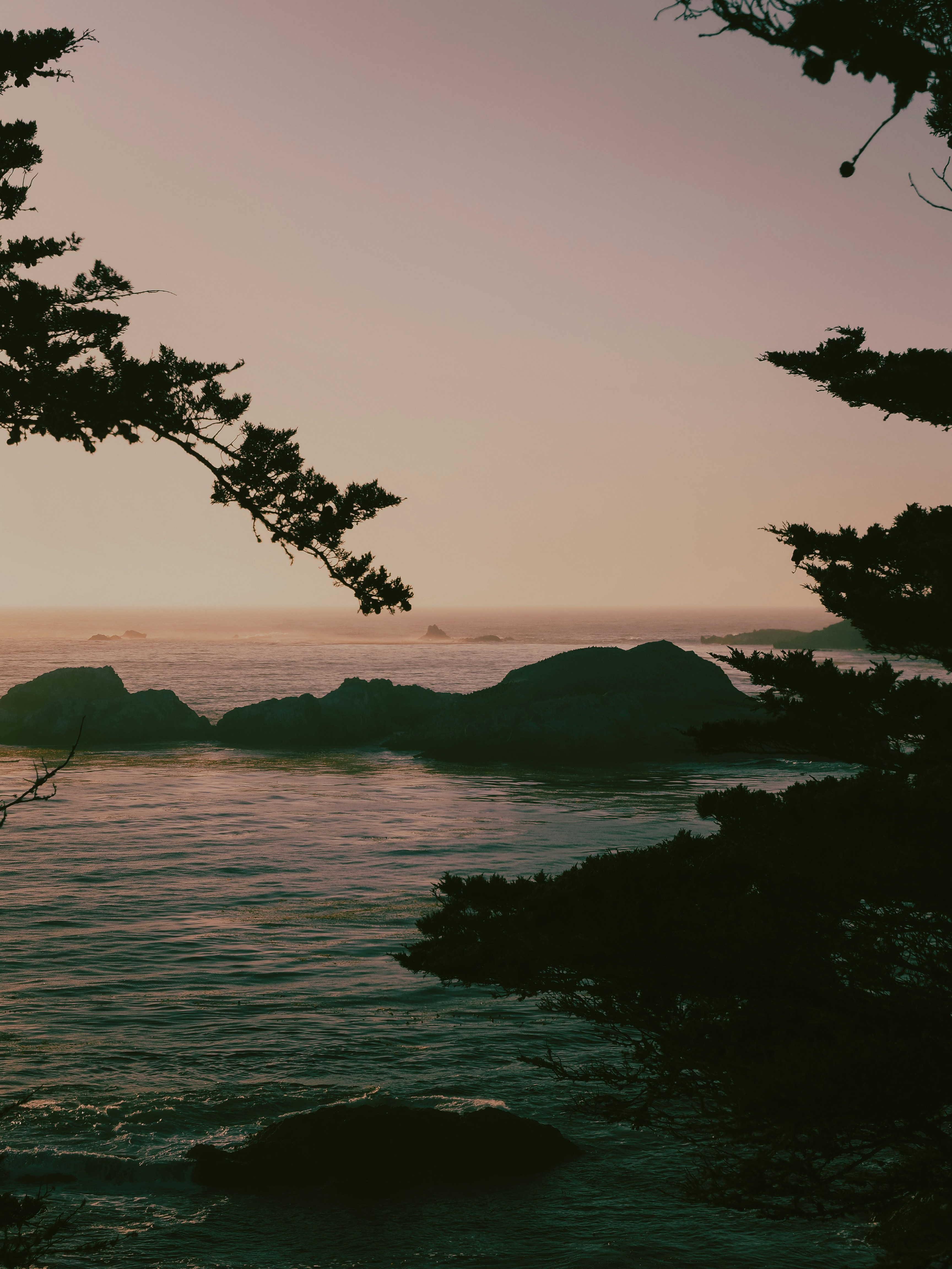 Photo by kalaniparker