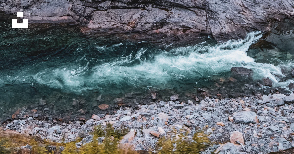 Une rivière qui coule à travers une forêt verdoyante photo – Photo ...