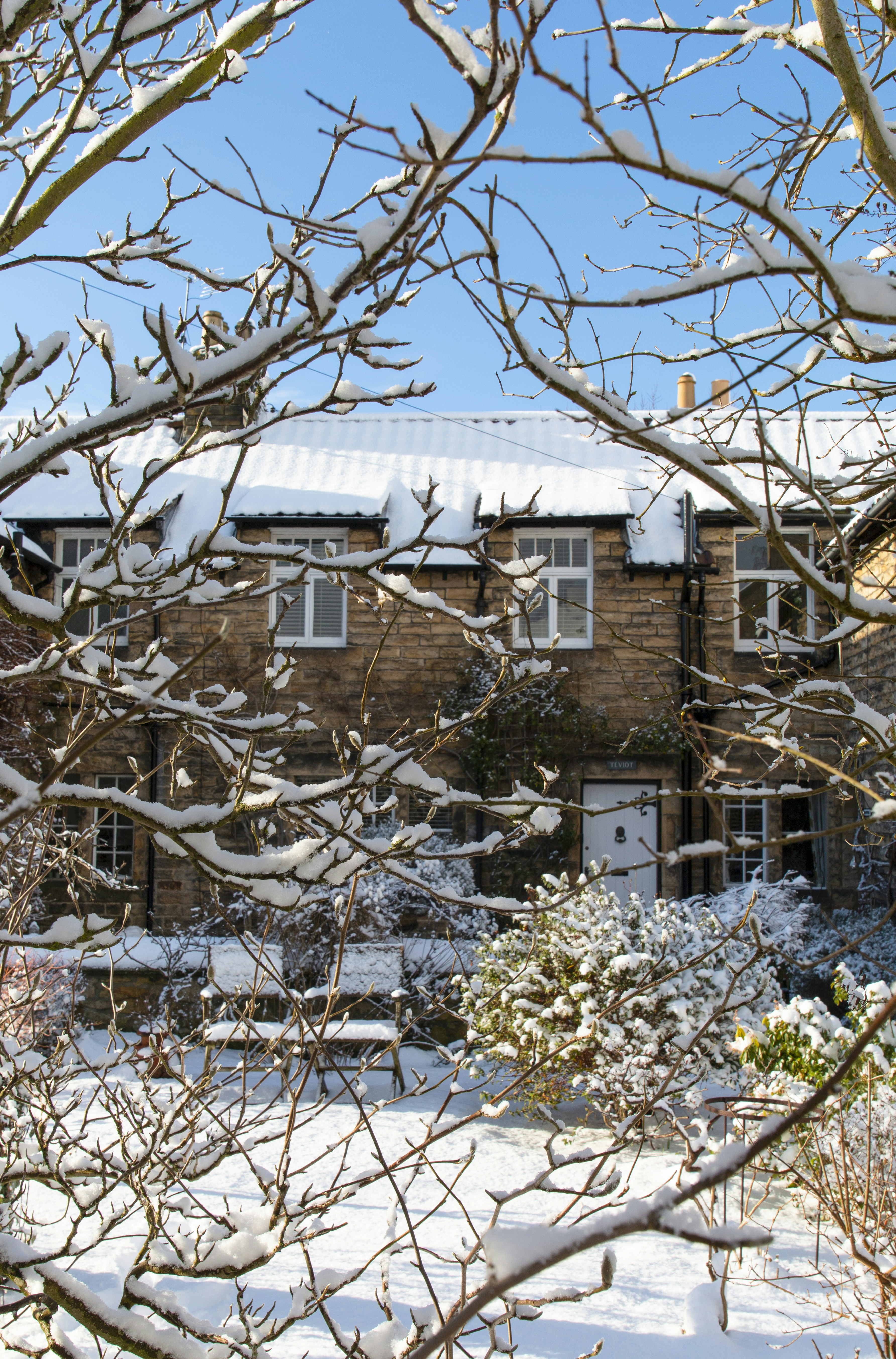 a house with snow on the ground and trees in front of it